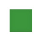 FILTRE-GREEN-Filtre LEE FILTERS pour N&B ''No 11 Green'' - Dim. : 100x100mm