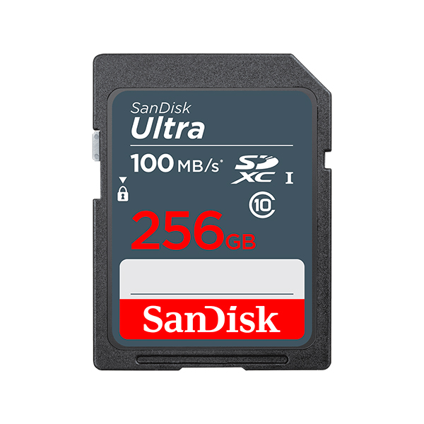  Carte  m moire SANDISK  SD  XC Ultra 256  Go  100 Mb s LA BS