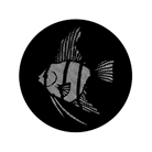 Gobo ROSCO DHA 77612 Meshed angel fish - Taille A (100 mm)