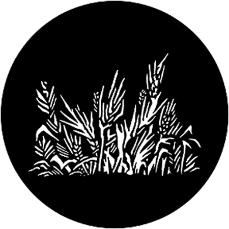 Gobo ROSCO DHA 78039 Grasses - Taille A (100 mm)