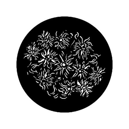 Gobo ROSCO DHA 78178 Floral 6 - Taille A (100 mm)