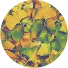 Gobo ROSCO Breakups 86635 Ginkgo - Taille B (86 mm)