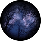 Gobo ROSCO Scene 86713 Cloud Branches 2 - Taille A (100 mm)