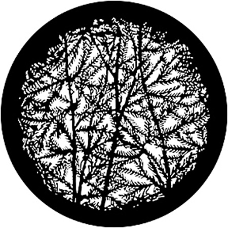 Gobo ROSCO DHA 79110 Leafy branches 4 - Taille M (66 mm)