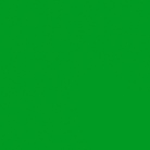 Papier de fond BD COMPANY - Coloris Chroma Veri Green - Dim: 2,72x11m