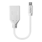 Adaptateur Mini DispalyPort/Thunderbolt mâle - DisplayPort femelle