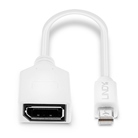 Adaptateur Mini DispalyPort/Thunderbolt mâle - DisplayPort femelle