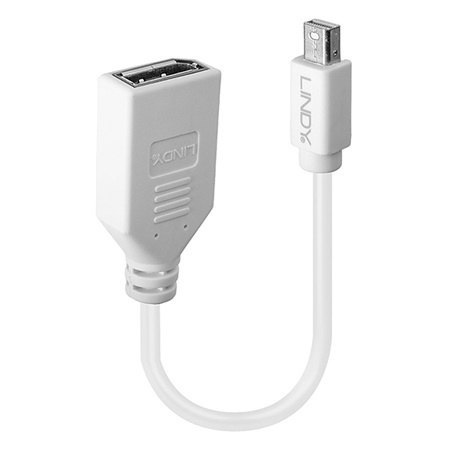 Adaptateur Mini DispalyPort/Thunderbolt mâle - DisplayPort femelle