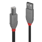 Cordon USB 2.0 A/B LINDY - Longueur : 0,5m - Noir