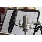 Micro statique cardioïde silver TLM103 NEUMANN studio set