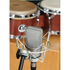 Micro statique cardioïde silver TLM103 NEUMANN studio set