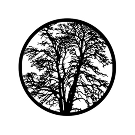 Gobo ROSCO DHA 78438 Bare Tree - Taille M (66 mm)