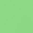 Papier de fond BD COMPANY - Coloris Spring Green - Dim. : 2,72 x 11m