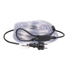 Cordon lumineux LED Blanc Froid - 10m - Extérieur - BE1ST PRO