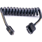 Cordon spiralé HDMI mâle - Micro HDMI mâle ATOMOS - 40cm