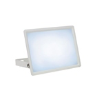 Quartzled Blanc froid 6500K 30W BLANC - IP65 - SPECTRUM LED