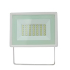 Quartzled Blanc froid 6500K 30W BLANC - IP65 - SPECTRUM LED