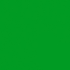 Papier de fond BD COMPANY - Coloris Chroma Veri Green - Dim: 2,18x11m 