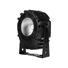 PAR led COB 250W CW WW Flash Pro