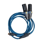 Interface câble USB-C vers 2 x XLR SOUNDWIRE - 32 bits / 192kHz