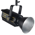 Torche Led 300W Daylight 5600K Video Led Light GODOX VL-300