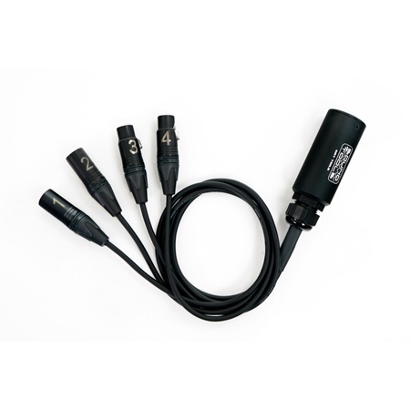 Soundtools CAT TAILS - boitier etherCON vers 2 x XLR M + 2 x XLR F