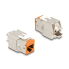 Lot de 10 modules Keystone RJ45 Cat.6a DELOCK Femelle