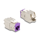 Lot de 10 modules Keystone RJ45 Cat.6a DELOCK Femelle