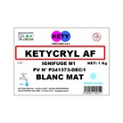 Peinture KETY Ketycryl AF ignifugeante M1 Blanc mat - 1Kg 