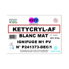 Peinture KETY Ketycryl AF ignifugeante M1 Blanc mat - 20Kg 